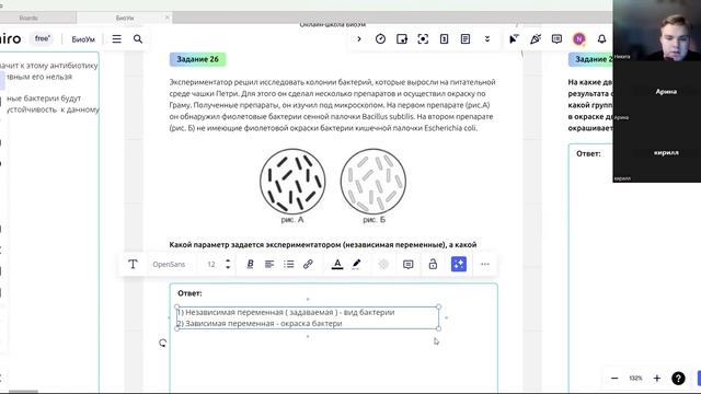 Практика. Вирусы и Бактерии
