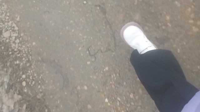 VID_20250127_124401.mp4 смотреть онлайн