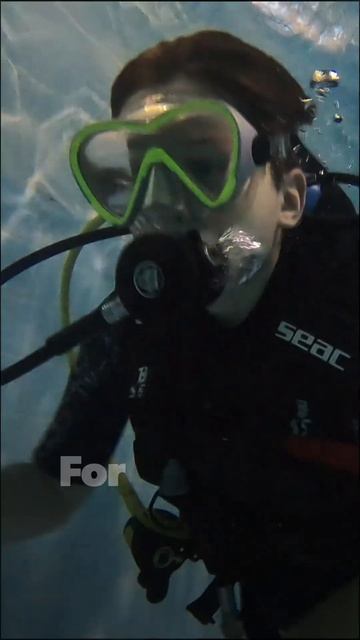 That's what diving is смотреть онлайн