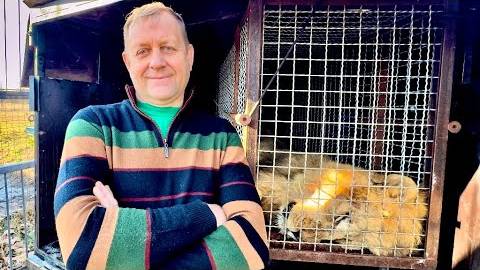 ЛЮБИМЫЙ ЛЕВ из молодых уезжает в новый зоопарк, почему уезжают самые лучшие и любимые смотреть онлайн