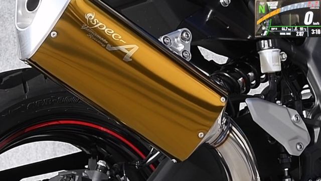 ZX-4R SPEC-A SLIP-ON UP TYPE-SA ゴールド 政府認証 смотреть онлайн
