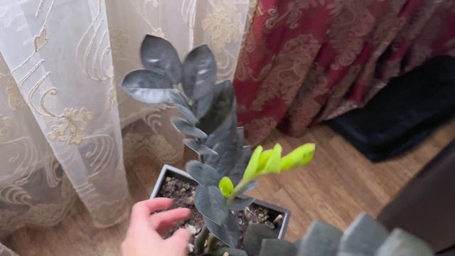 Домашний Влог | Хочу быть стройной 😌| Подделки на Маркетплейсах 😱 | Совместники по вязанию 💕 смотреть онлайн