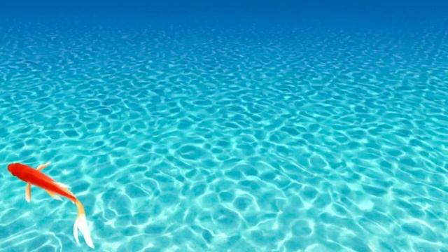 🎵Включи это видео коту, ему понравится #blackcatmajk #videoforcats