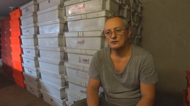 Самозанятость. Нюансы фасовки Дендробены. смотреть онлайн