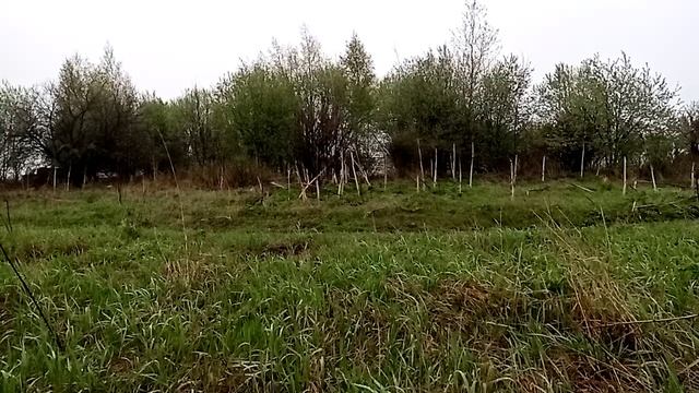Так поют соловьи. смотреть онлайн