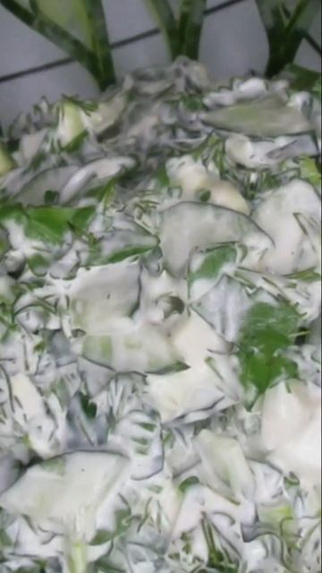 Салат с авокадо, огурцами и яйцами!!! Очень вкусно!!! смотреть онлайн