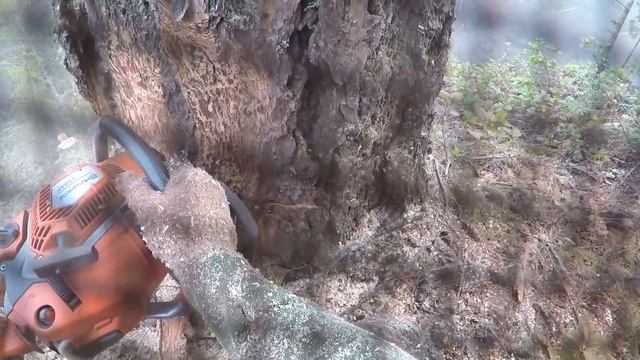 Burning a tank above rock pit смотреть онлайн