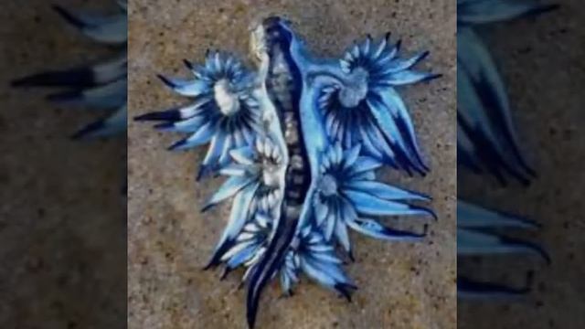 Las mejores imagenes de seres mitologicos смотреть онлайн