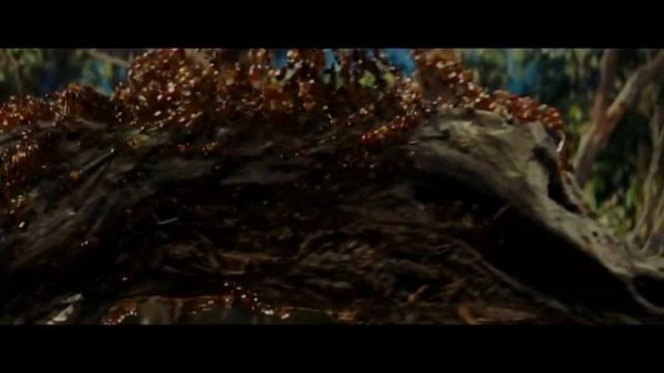 Гигантские муравьи