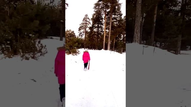 в лесу под Решетихой смотреть онлайн