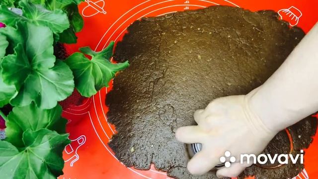 МИНДАЛЬНО-ШОКОЛАДНОЕ ПЕЧЕНЬЕ 🍪😍😍🤤 смотреть онлайн