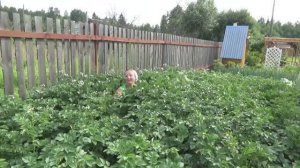 6 соток 15 июля 2020 года. Хроника.