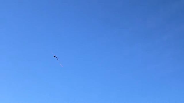 Lesky Pace VX2 - No music смотреть онлайн