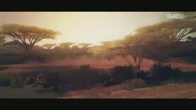 DiRT3-RALLY-KENYA-1-Lancia Stratos смотреть онлайн