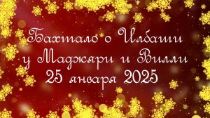 Бахтало о Илбаши у Маджяри и Вилли. 18 января 2025. г.Самара