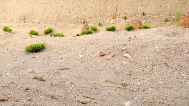 Тракторы, полицейские машины, грузовики находят полицейские машины в пещере смотреть онлайн