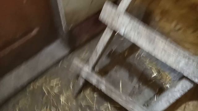 13 октября 2022 г. смотреть онлайн