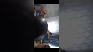 ‼️Цыганская сходка/город БЕЛОЗЕРСК‼️