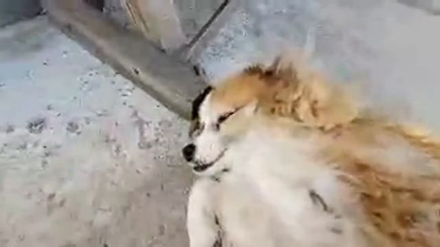 Доброе Утро! З добрим ранком! смотреть онлайн