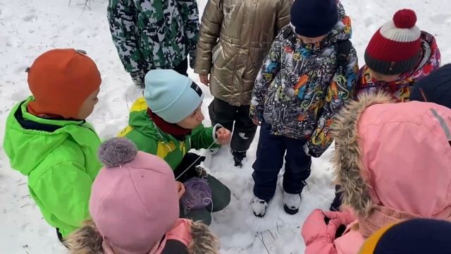 Покормили лесных птиц смотреть онлайн