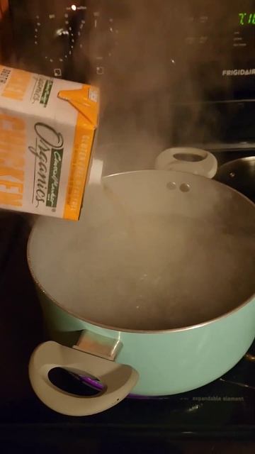 Rabbit Stew Homeade #food #cooking #organic смотреть онлайн