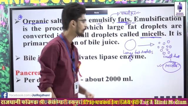 [55] NEET/JET/ ICAR/BHU Biology Lessons | HUMAN PHYSIOLOGY | DIGESTION & ABSORPTION (Lect-14) смотреть онлайн