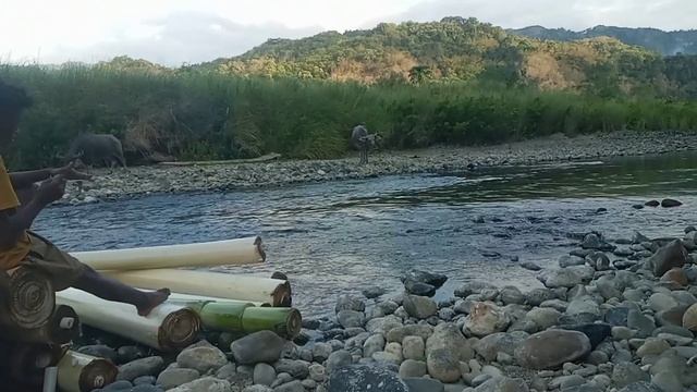 lagu manggarai terbaru 2023 tombo jodo bolo mai romo смотреть онлайн