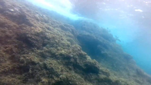 DECIMA FOTOSUB CABO DE GATA смотреть онлайн