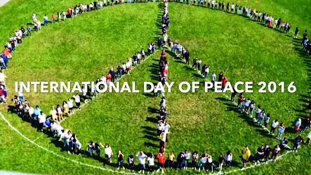 WJCS Margaret’s Place, funded by the Joe Torre Safe at Home Foundation смотреть онлайн