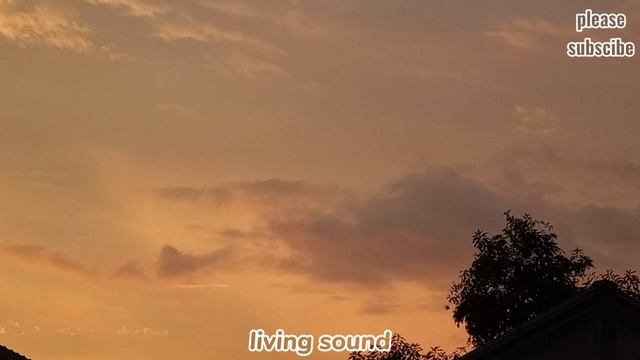 POISON  -Rita Ora (#lyric-#music) #viralmusic