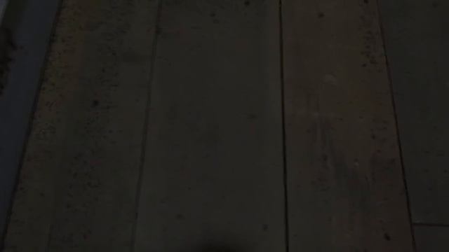 Бизнес. Разведение Дендробены. Как бороться с мошкой . смотреть онлайн