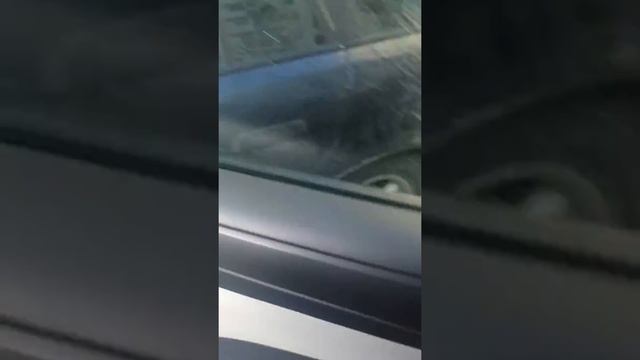 Джета 2015 года смотреть онлайн