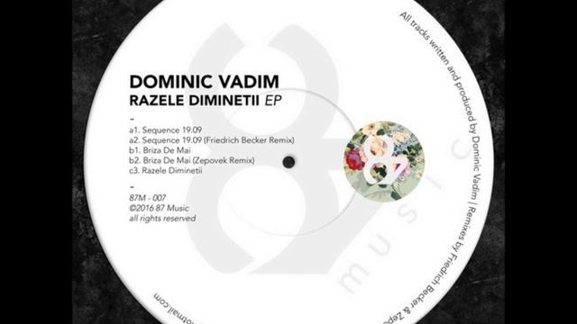 Dominic Vadim - Briza De Mai (Zepovek Remix) смотреть онлайн
