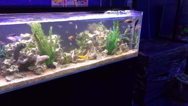 Warning if using fish forums or going to fish clubs! смотреть онлайн