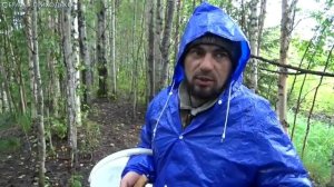ГРИБ МУХОМОР🍄 И ЕГО ПОЛЕЗНЫЕ СВОЙСТВА / СОБИРАЕМ МУХОМОР В ТАЕЖНОМ ЛЕСУ