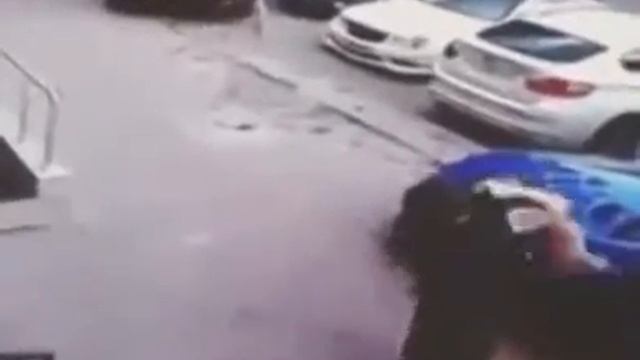 ШОК!!! УЖАС!!! Кот псих напал на собаку и женщину смотреть онлайн