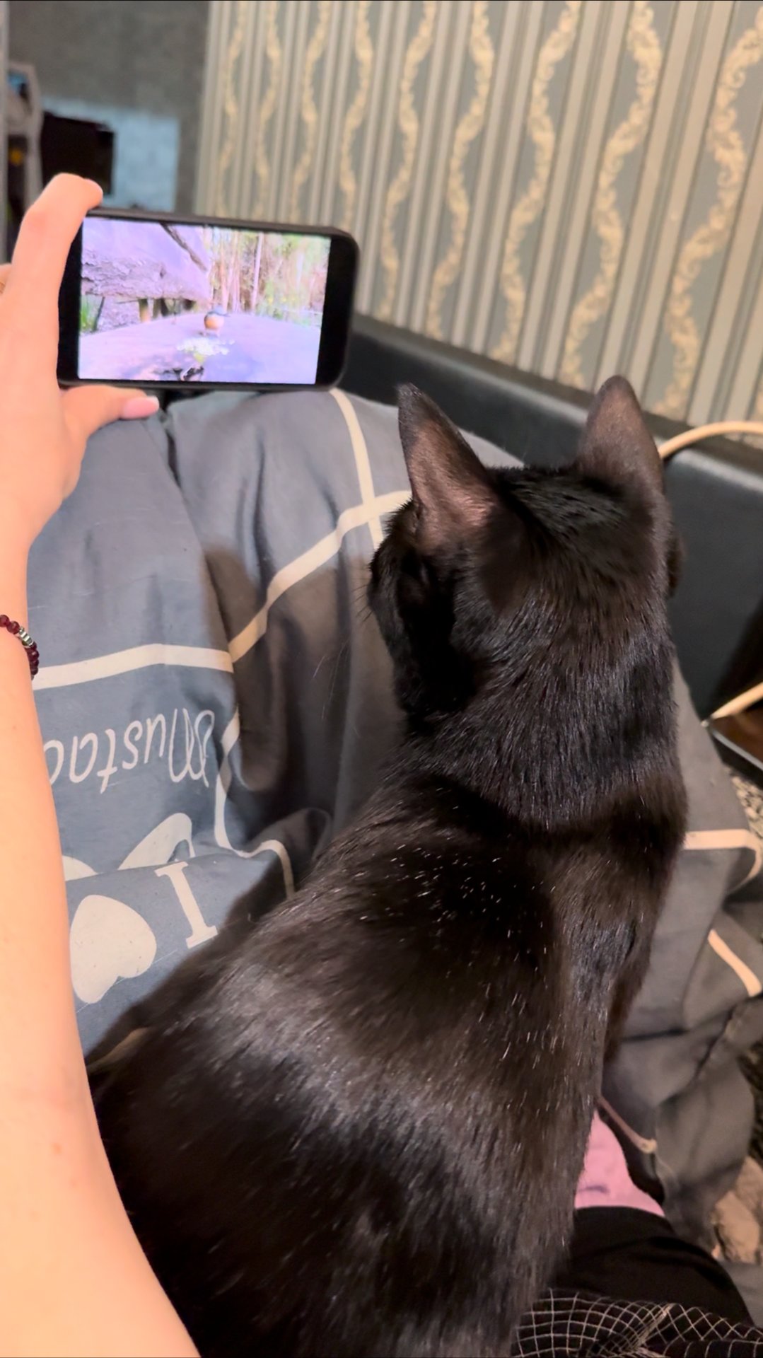 Не забывай,сердце моё.