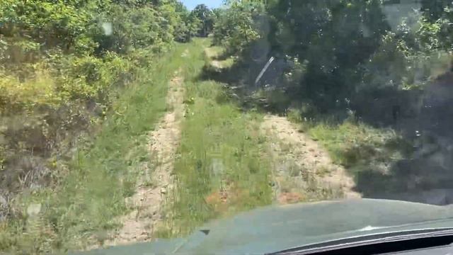 My New CF Motto UForce 600 In Operation