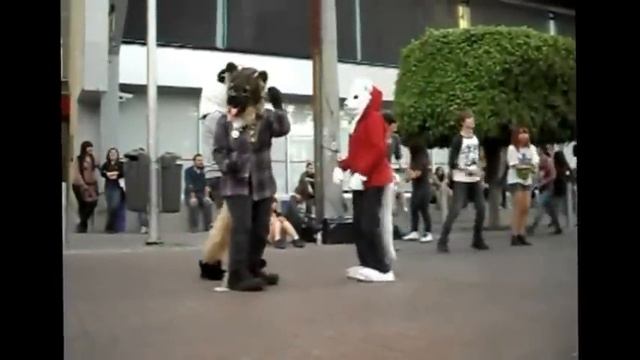 Furs Dancing In Chapu