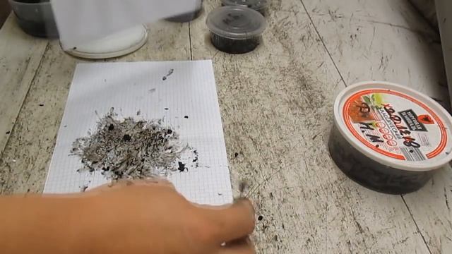 Смешиваются ли разные виды червей между собой... 2 часть. смотреть онлайн