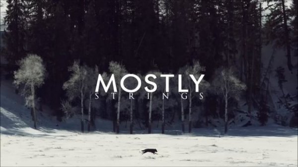 First Aid Kit - Wolf