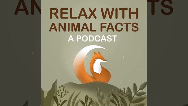 Pangolin смотреть онлайн
