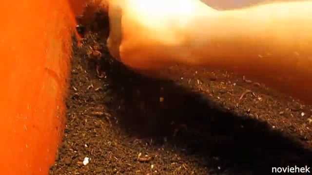 Выборка малька. Один из способов. Эконом вариант. смотреть онлайн