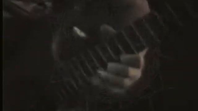 COB WEB - BEGETS OF AUTUMN смотреть онлайн