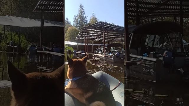 Амазонки покинули причал Удачный😃 смотреть онлайн