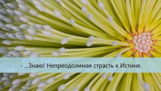 СКРОМНОСТЬ. Притча об искателе истины от Энтони де Мелло - Скромность смотреть онлайн