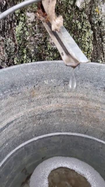 Березовий сік смотреть онлайн