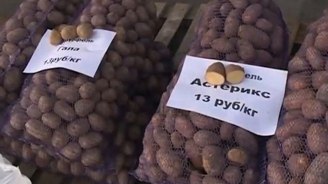 Подвели итоги сбора урожая и заготовки кормов в Карелии смотреть онлайн