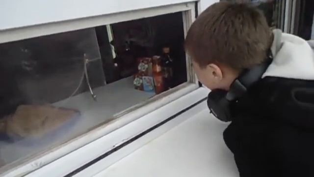 Дайте мне чебурек...Один..ахахахах;DDDD смотреть онлайн