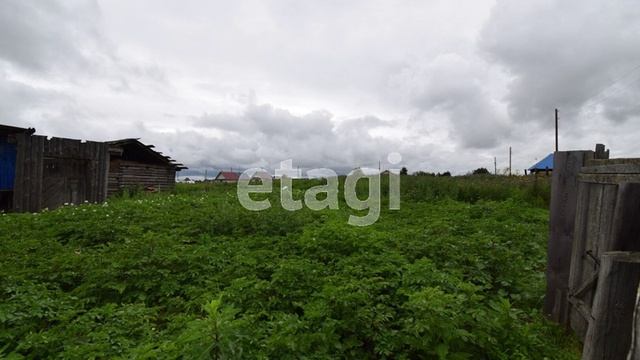 3288016 смотреть онлайн